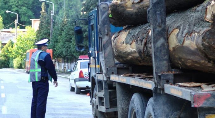 Transport de material lemnos reclamat, verificat de polițiști