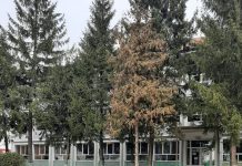 Apelul primarului din Motru