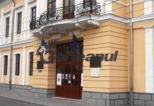 Angajare la Muzeul Județean