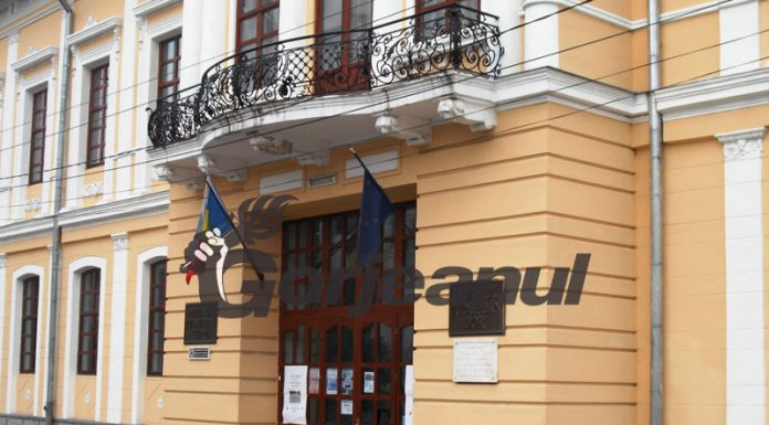 Angajare la Muzeul Județean