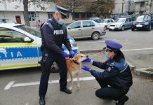 Poliția Animalelor, în acțiune în județul Gorj! Cinci bărbați au fost reținuți
