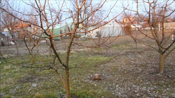 Să ne protejăm ecologic grădina, casa – 6 – Materiale ecologice, homeopate