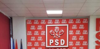 Alegeri pentru șefia PSD Drăguțești