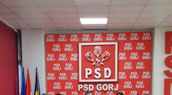 Alegeri pentru șefia PSD Drăguțești