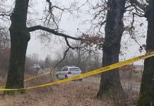 Taximetrist găsit mort în mașina sa în pădurea de la Drăgoieni!