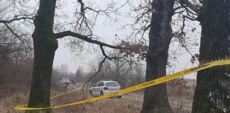 Taximetrist găsit mort în mașina sa în pădurea de la Drăgoieni!