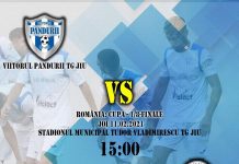 Viitorul Pandurii, în sferturile Cupei României
