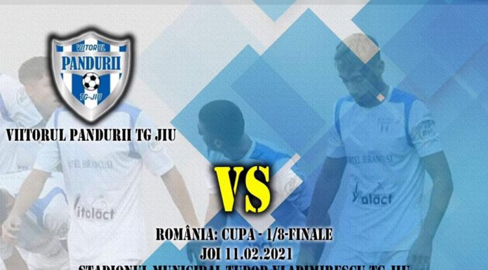 Viitorul Pandurii, în sferturile Cupei României