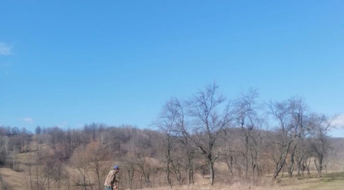 Localnic din Berlești, fugărit cu securea de vecinul certat cu legea! Poliția, IMPASIBILĂ