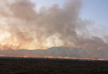 Motivul incredibil pentru care sunt incendiate pășunile: subvenția de 1.000 de lei/ha! Poliția trebuie să efectueze cercetări!