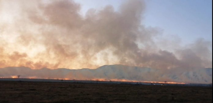 Motivul incredibil pentru care sunt incendiate pășunile: subvenția de 1.000 de lei/ha! Poliția trebuie să efectueze cercetări!