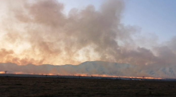 Motivul incredibil pentru care sunt incendiate pășunile: subvenția de 1.000 de lei/ha! Poliția trebuie să efectueze cercetări!