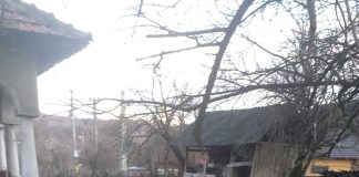 Octogenară din Vladimir, la limita subzistenței