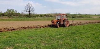 Agricultura pe înțelesul tuturor – Graficul lucrărilor agricole în luna martie