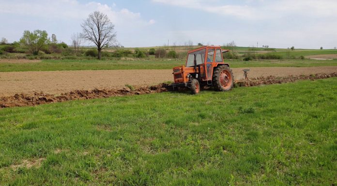 Agricultura pe înțelesul tuturor – Graficul lucrărilor agricole în luna martie