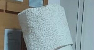 Bustul lui Tudor Vladimirescu, dezvelit de Ziua Olteniei