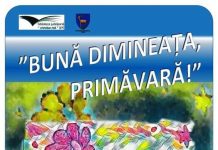 Concurs de poezie pentru elevi