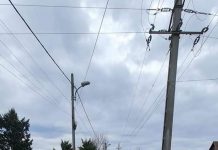 Se închide Aleea Dumbrava din Târgu Jiu! Vezi până când!