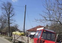 Într-o jumătate de zi: 450 de saci cu gunoi, colectați de pe domeniul public la Scoarța