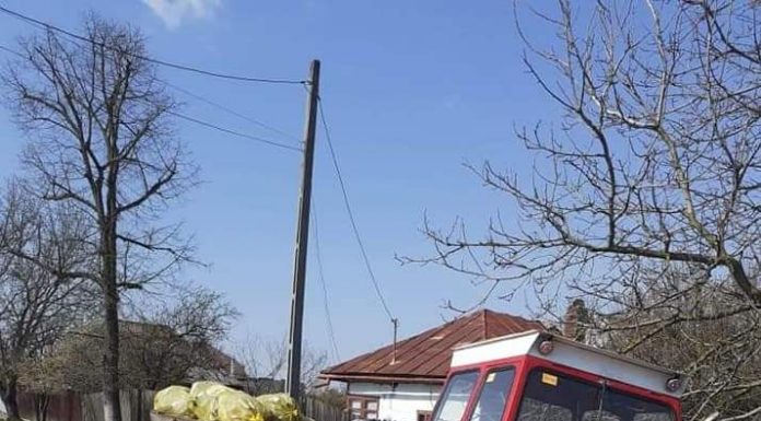 Într-o jumătate de zi: 450 de saci cu gunoi, colectați de pe domeniul public la Scoarța