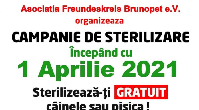 Campanie de sterilizare a patrupedelor, la Rovinari