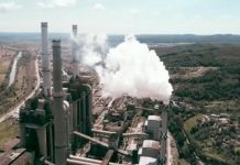 Greenpeace: Ajutorul pentru CEO, sub semnul întrebării