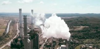 Greenpeace: Ajutorul pentru CEO, sub semnul întrebării