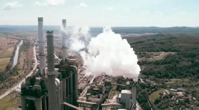 Greenpeace: Ajutorul pentru CEO, sub semnul întrebării