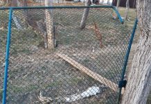 Glăvan din Lihulești lovește din nou! De data asta, două bănci cu securea