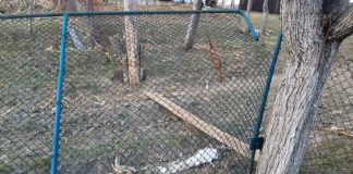 Glăvan din Lihulești lovește din nou! De data asta, două bănci cu securea