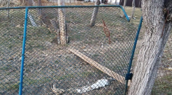 Glăvan din Lihulești lovește din nou! De data asta, două bănci cu securea