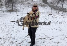 „Zăpada mieilor”, la început de martie!