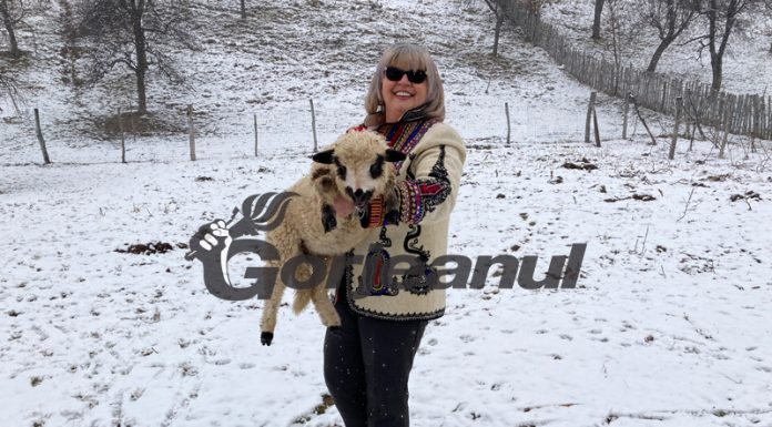 „Zăpada mieilor”, la început de martie!