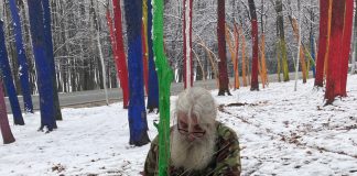 Împădurire în Pădurea Colorată!