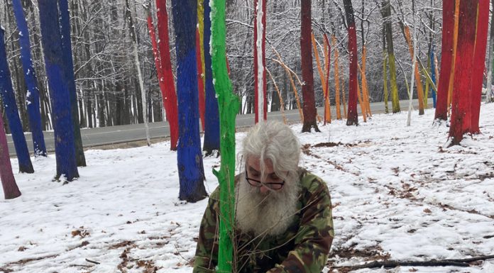 Împădurire în Pădurea Colorată!