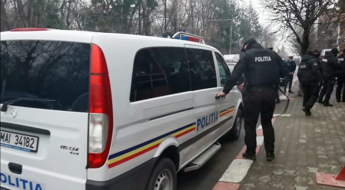 Descinderi ale Poliției Animalelor în buricul Târgului. Câini chinuiți! Explicațiile proprietarei!