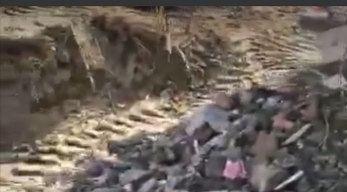 Acțiune comună a Gărzii de Mediu și IPJ Gorj!