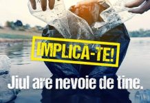 Invitație la igienizarea malurilor Șușiței! Acțiunea va avea loc duminică