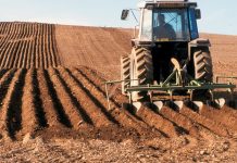 20 aprilie, termen pentru actualizarea actelor constitutive ale cooperativelor agricole