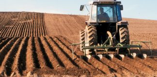 20 aprilie, termen pentru actualizarea actelor constitutive ale cooperativelor agricole