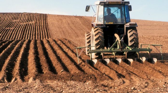 20 aprilie, termen pentru actualizarea actelor constitutive ale cooperativelor agricole