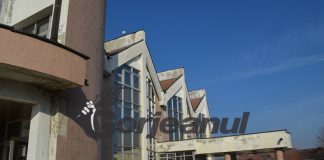 APIA: Până pe 26 octombrie se pot depune cereri pentru sprijinul de urgență în sectorul cerealelor și cel al semințelor oleaginoase