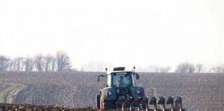 Agricultura pe înțelesul tuturor – Iarnă deosebită – grijă deosebită pentru lucrări agricole în repausul vegetativ