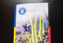 AJOFM distribuite broșuri privind munca sezonieră în Germania