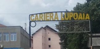 CEO vinde bunuri de la UMC Lupoaia