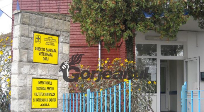 O instituție din Gorj face angajări! 3 posturi, scoase la concurs!