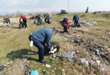 Ecologizare pe malul râului Șușița