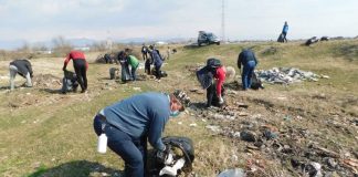 Ecologizare pe malul râului Șușița