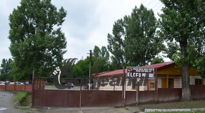 CEO închiriază autovehicule pentru ELCFU Motru