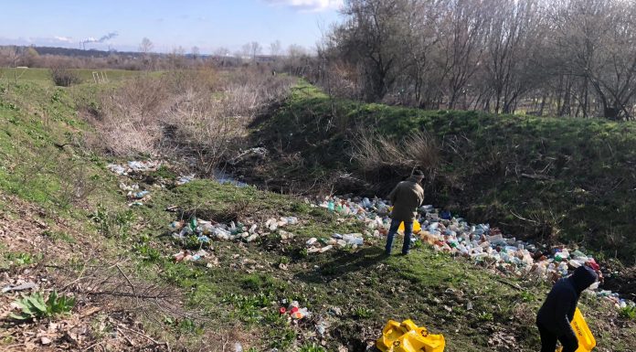 Trei râuri din județ, igienizate de angajații SGA Gorj